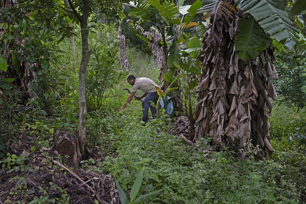 Biodiverse farms thrive with enriched agri-inputs and sustainable land management practices.