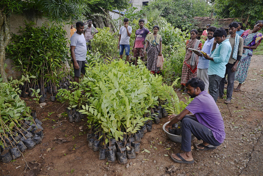 Digital interfaces are used to take inventory and confirm sapling delivery in each village.