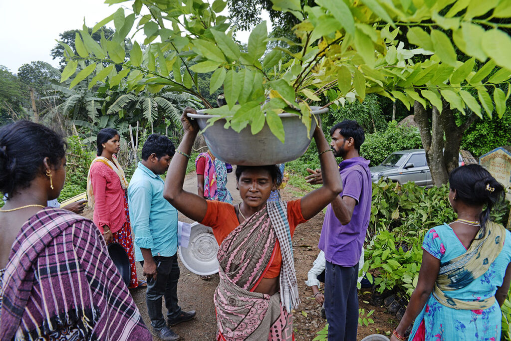 Farmers carry their saplings from the village distribution site to their homes.