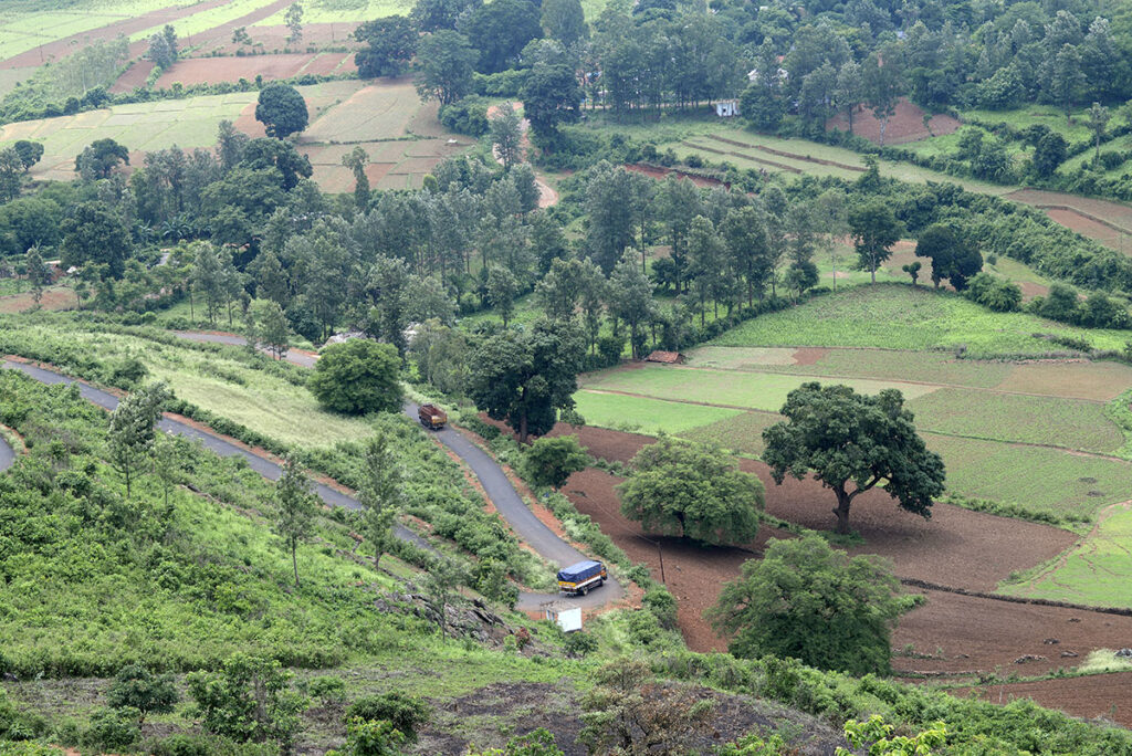 Trucks travel far to deliver saplings to villages scattered across hilly terrains.