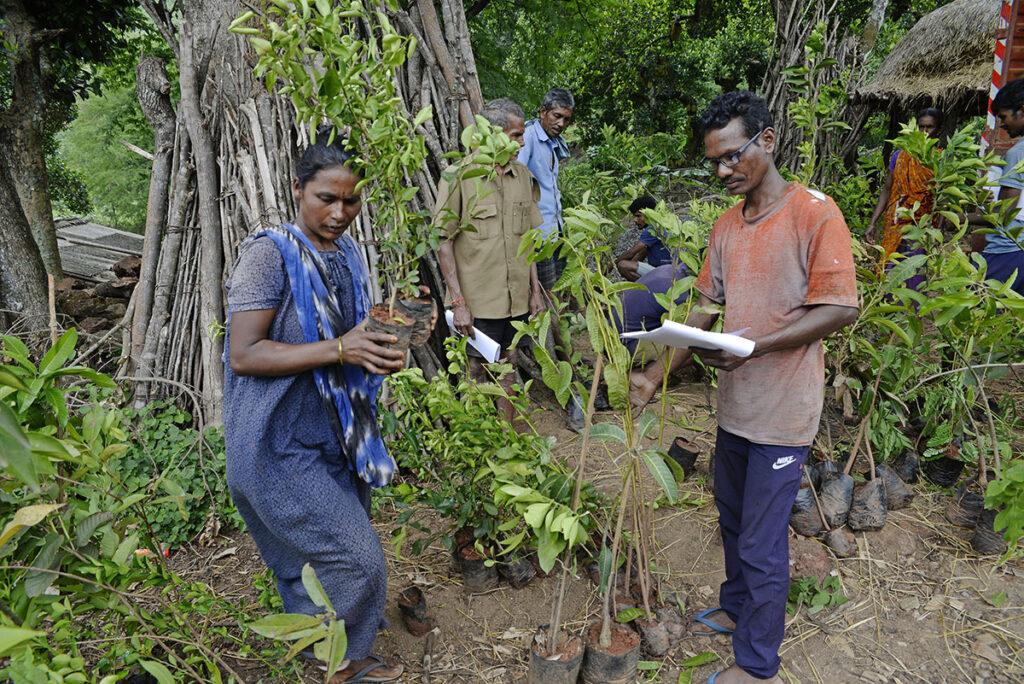 Farmers' unique IDs are used to cross-check the count and variety of ordered saplings.